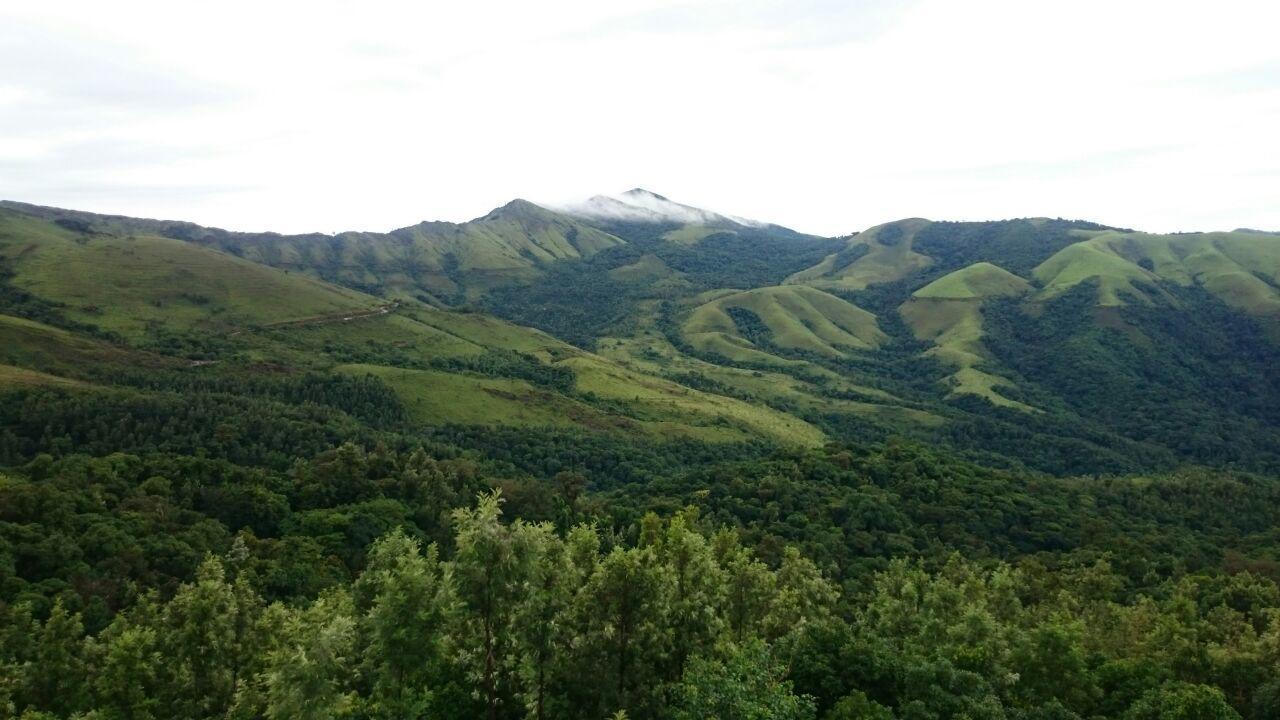 The Greenwood Resort Chikmagalur - Escape To Tranquil Mountain Views 外观 照片